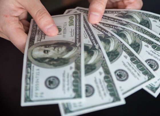 Merkez Bankası anketinde dolar beklentisi yükseldi