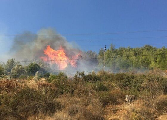 Mersin Bozyazı’da orman yangını – CNN Türk