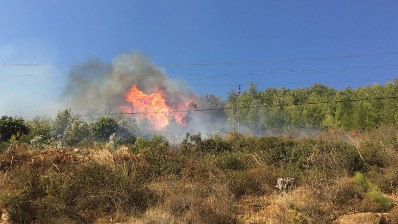 Mersin Bozyazı’da orman yangını – CNN Türk