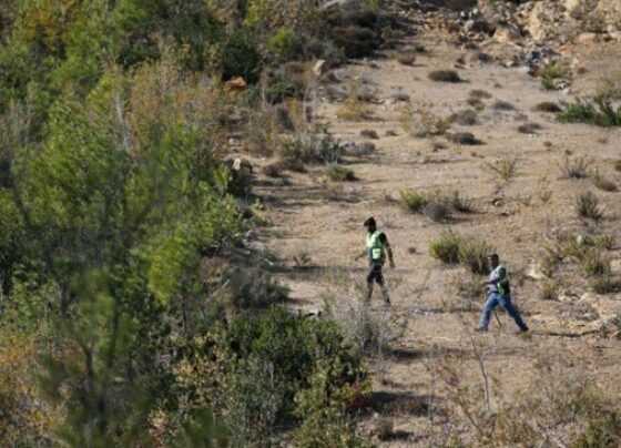 Mersin’de kaybolan 3 yaşındaki Müslüme’yi arama çalışmaları sürüyor
