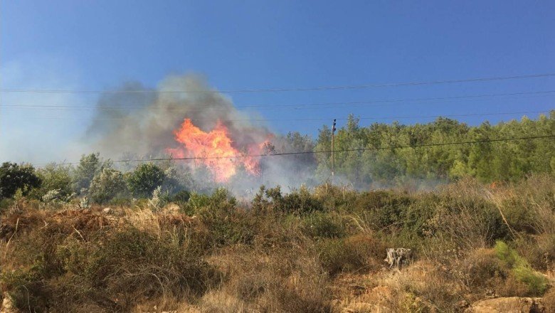 Mersin’de orman yangını kontrol altına alındı