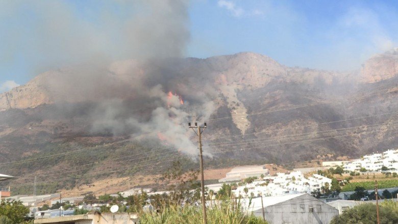 Mersin’de orman yangını