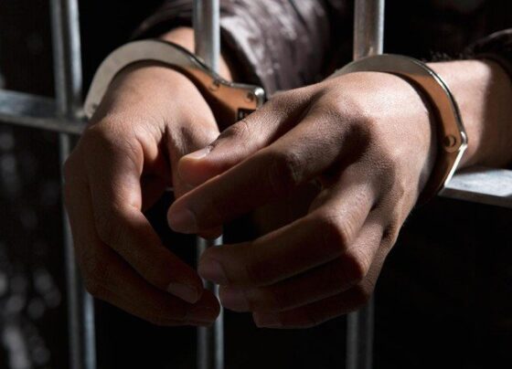 Mersin’de uyuşturucu operasyonunda yakalanan şüpheli tutuklandı
