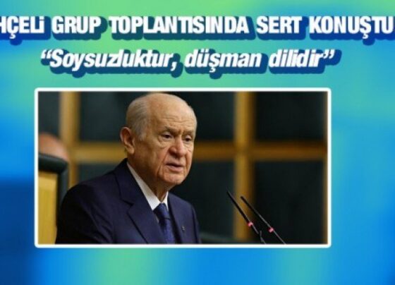MHP lideri Bahçeli'den Lütfü Türkkan'a küfür tepkisi: Soysuzluktur, düşman dilidir