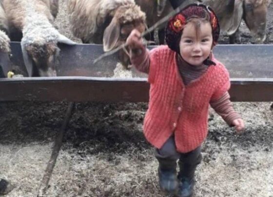 Müslüme 72 saat geçmesine rağmen bulunamadı