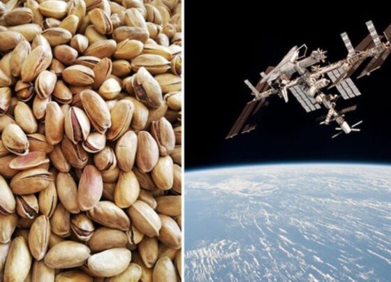 NASA astronotları uzayda “Fıstık kabuğu” buldu! Kimin attığı araştırılıyor – Haberler.com