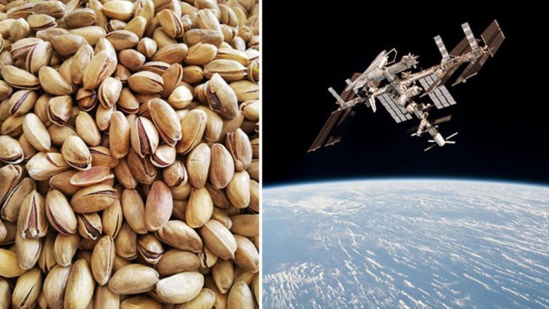 NASA astronotları uzayda “Fıstık kabuğu” buldu! Kimin attığı araştırılıyor – Haberler.com