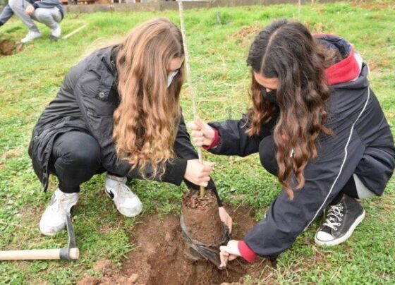 Öğretmenler anısına hatıra ormanı oluşturuldu
