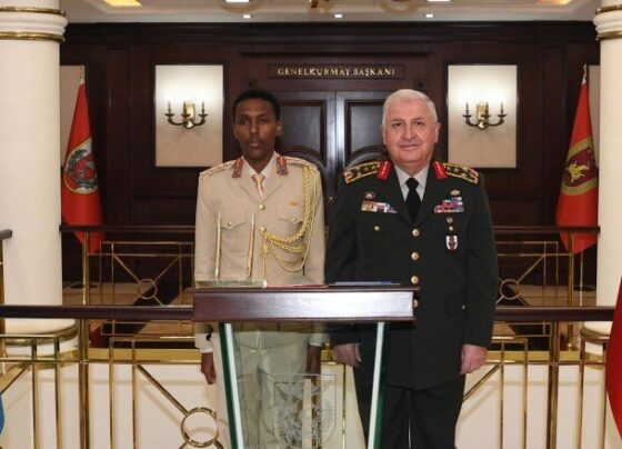 Orgeneral Güler Somalili mevkidaşıyla görüştü