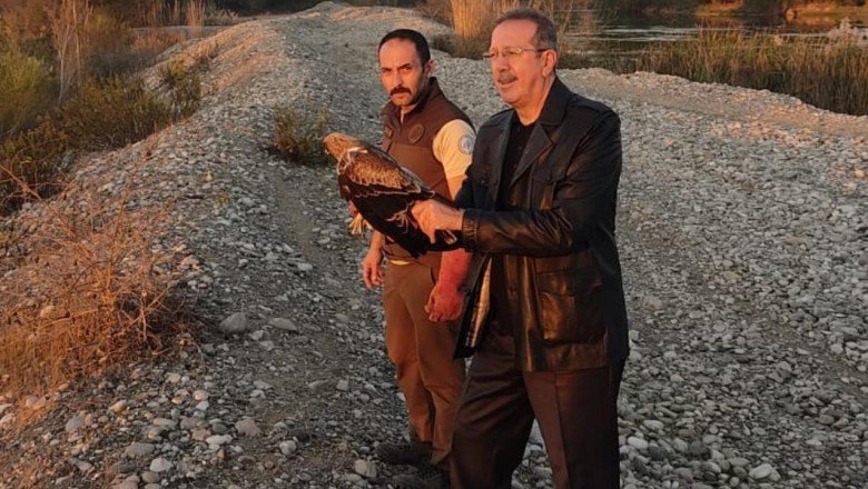 Osmaniye’de tedavi edilen kartal doğaya bırakıldı