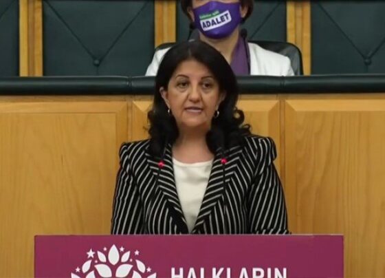 Pervin Buldan: Canını savunan kadını cezalandıran bir yargı sistemiyle karşı karşıyayız