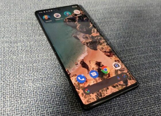 Pixel 6 Pro’da can sıkan bir gerçek öğrenildi! – ShiftDelete.Net
