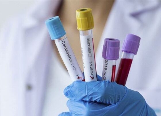 Prof. Dr. Tecer: Havada koronavirüsün RNA’sına rastladık