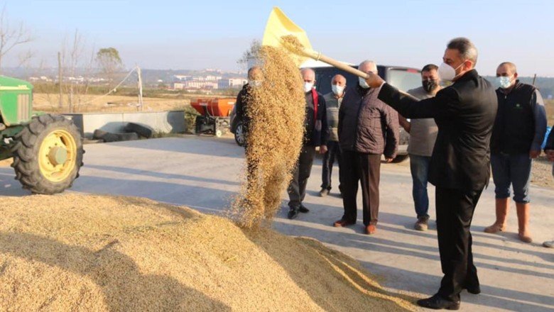 Sinop çeltik üretimiyle Türkiyede 6’ncı sırada