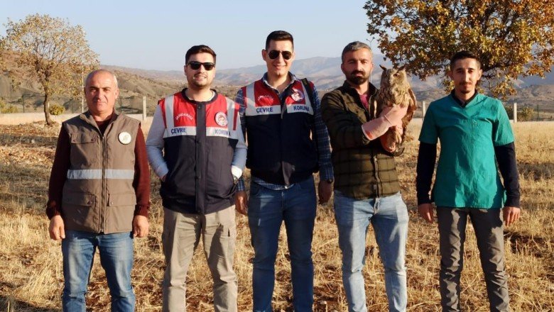 Şırnak’ta bitkin halde bulunan puhu koruma altına alındı