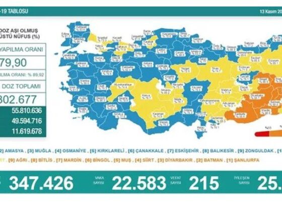 Son 24 saatin koronavirüs tablosu açıklandı