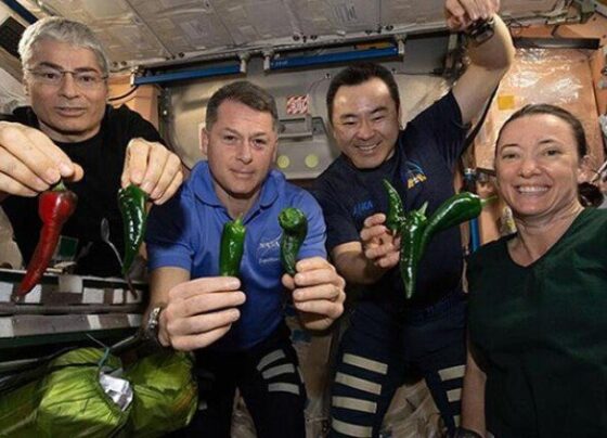 Space X’ten şoke eden haber! Tuvaleti bozulan mekikte astronotlara bez bağlayın talimatı! – Hürriyet