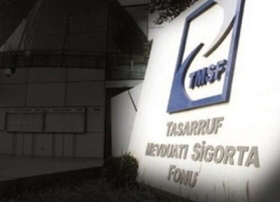 TMSF iki şirketi satışa çıkardı