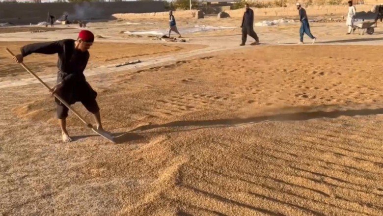 TRT Haber Afganistan’ın kuraklıkla boğuşan tahıl ambarı Kunduz’da