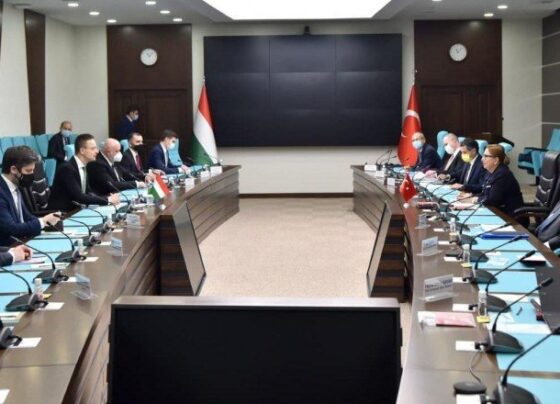 Türkiye-Macaristan işbirliği 5’inci toplantısı yapılacak