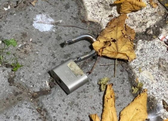 Vergi dairesine giren hırsızlara suçüstü