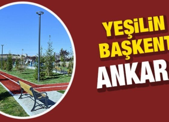 Yeşilin Başkenti Ankara: 2 milyon metrekarelik yeşil alan!