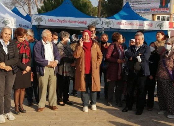 Zeytini yok edenlere kızgınız