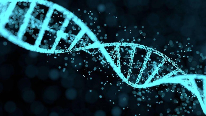 1979’da kaybolan kişinin cesedi DNA eşleştirmesiyle teşhis edildi