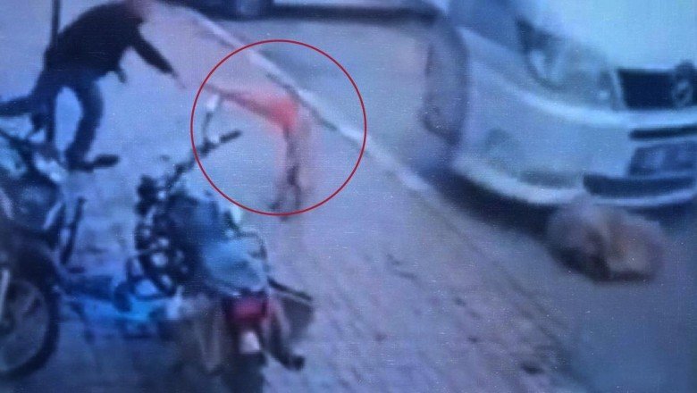 Afyonkarahisar’da köpeğe şiddet: Biri ezdi, diğeri duba fırlattı