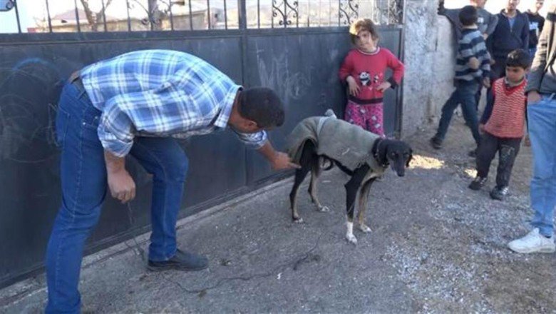 Aksaray’da şaka gibi olay! Köpek kümese girip yumurtaları yedi… İki aile birbirine girdi