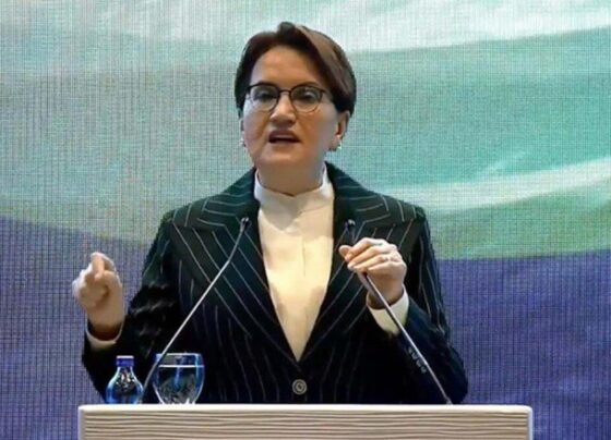 Akşener: Herkesi Doğu Türkistan konusundaki suskunluğunu bozmaya çağırıyorum