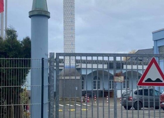 Almanya’da ırkçı saldırı: Cami kapısına domuz başı asıldı