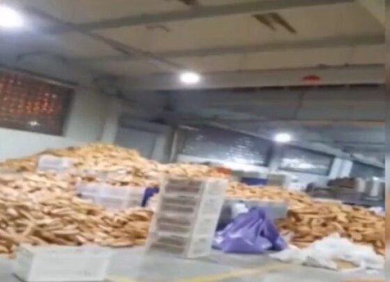 Ankara Büyükşehir Belediyesi (ABB) Halk Ekmek Fabrikası’ndan skandal görüntüler!