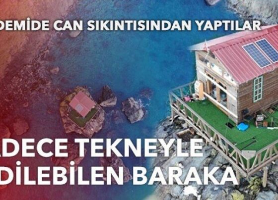 Artvin’de denizin ortasındaki barakayı görenler şaşkınlığını gizleyemiyor