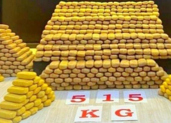 Bakan Süleyman Soylu: Hakkari’de 515 kilogram eroinin ele geçirildi