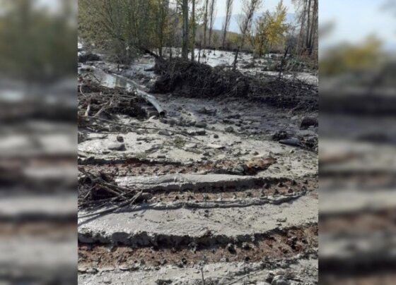 Çevre kirliliğine neden olan işletmeye 12 milyon lira ceza
