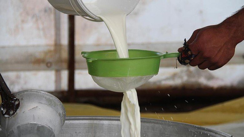 Çiğ sütün satış fiyatı belli oldu