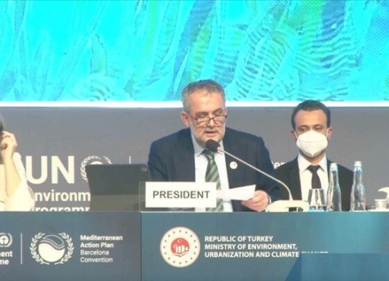 COP23’e Slovenya, COP24’e Mısır ev sahipliği yapacak