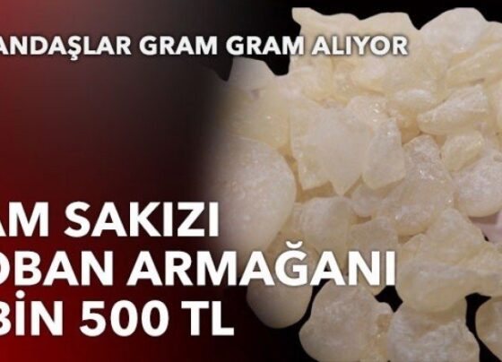 Damla sakızın kilosu 3 bin 500 lira