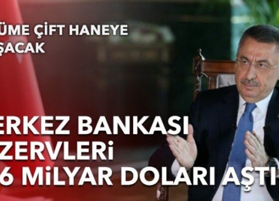 Fuat Oktay: Merkez Bankası rezervleri 126 milyar doları aştı