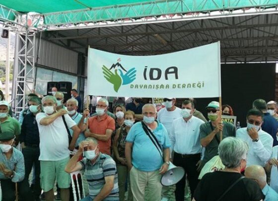 Kayyum kaybetti, doğa kazandı