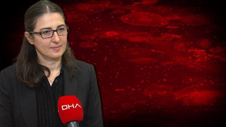 Marmara’da müsilajdan sonra yeni tehdit! İstila ettiler