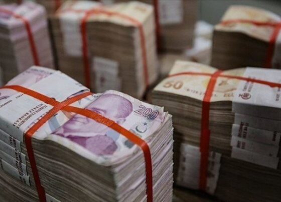 Merkezi Yönetim bütçe dengesi kasımda 32 milyar TL fazla verdi