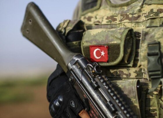 Ovacık kırsalında operasyon: 1 asker şehit oldu, 3 terörist etkisiz hale getirildi