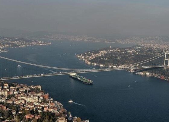 Prof. Dr. Naci Görür: İstanbul’daki yoğun kokunun depremle ilgili olduğunu düşünmüyorum