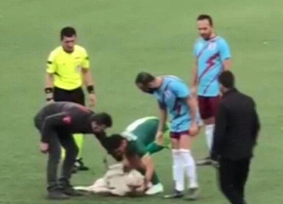 Sahaya giren köpek maçın gecikmesine neden oldu