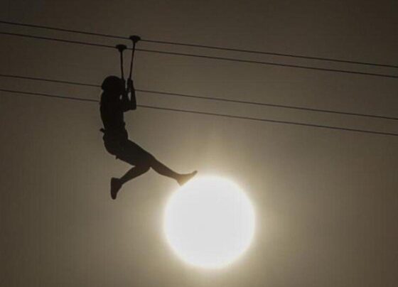 Zipline macerası felaketle bitti