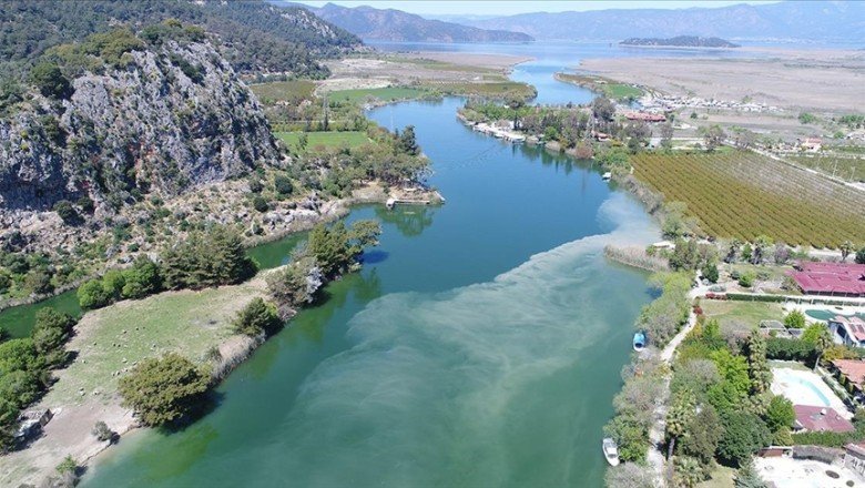 Dalyan kanalının rengi çamur ve sazlık nedeniyle değişti