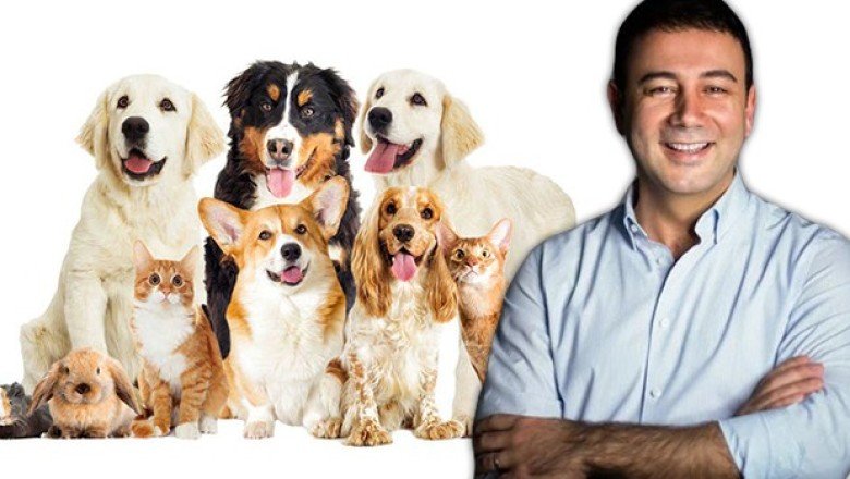 Genç Başkandan alkışlanacak hareket! Petshop’larda hayvan satışını yasakladı