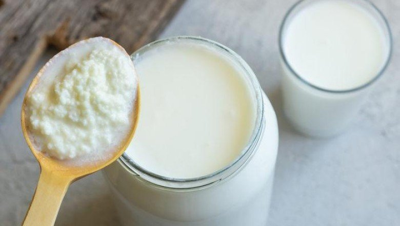 İçeriği diğerlerinden çok farklı! Doğal antibiyotik manda yoğurdunun faydaları nelerdir: Enerji verir hem beyni hem hafızayı korur